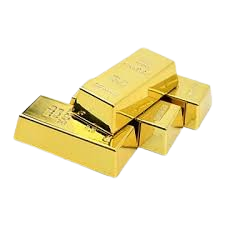 Regular Gold Loan
